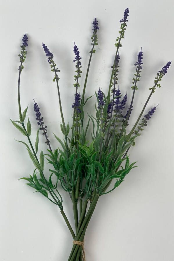 Myflowers b.v. Zijden kunstbloem Lavendel Blauw Lengte 50 centimeter