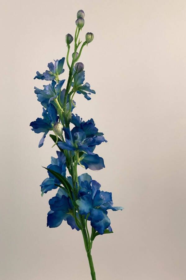 Myflowers b.v. Zijden kunstbloem Ridderspoor Blauw Lengte 60 centimeter