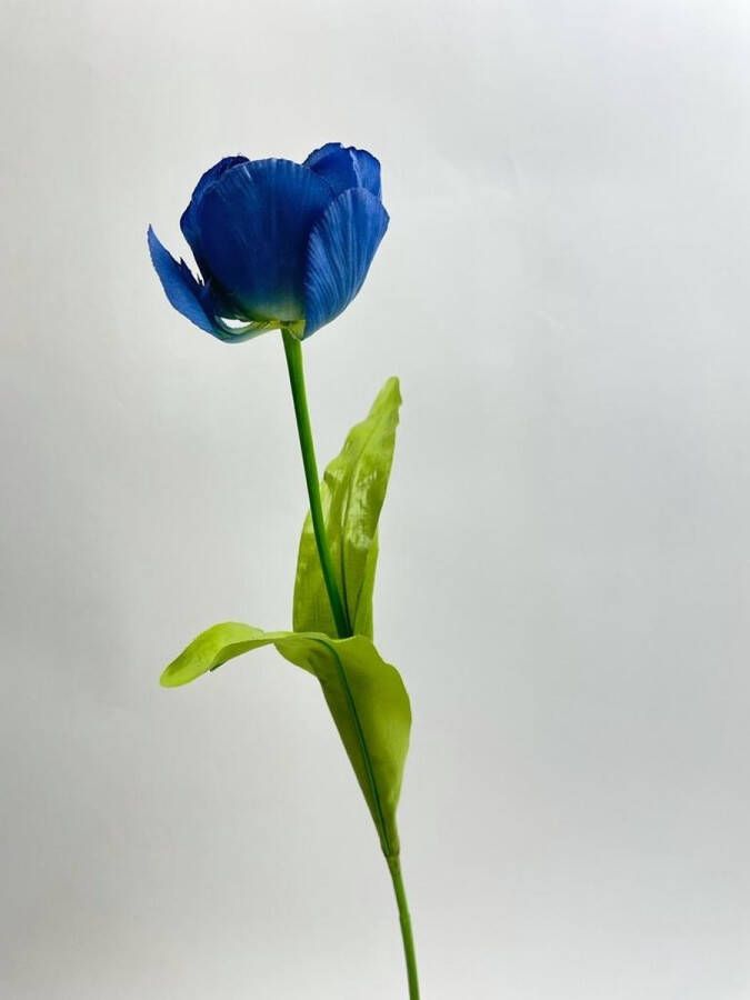 Myflowers b.v. Zijden kunstbloem Tulp Blauw Lengte 53 centimeter