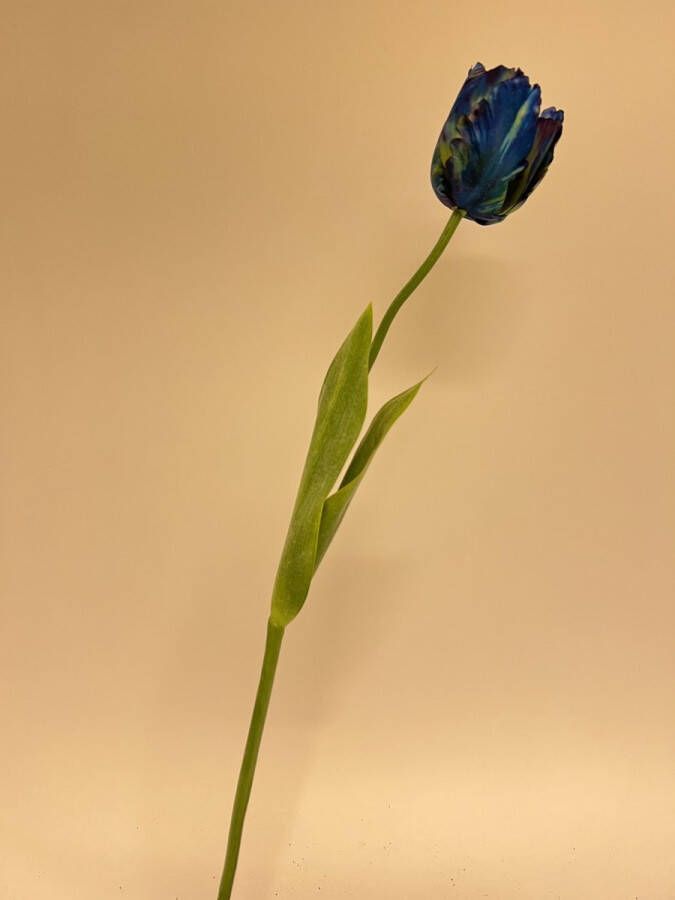 Myflowers b.v. Zijden kunstbloem Tulp Blauw Lengte 64 centimeter