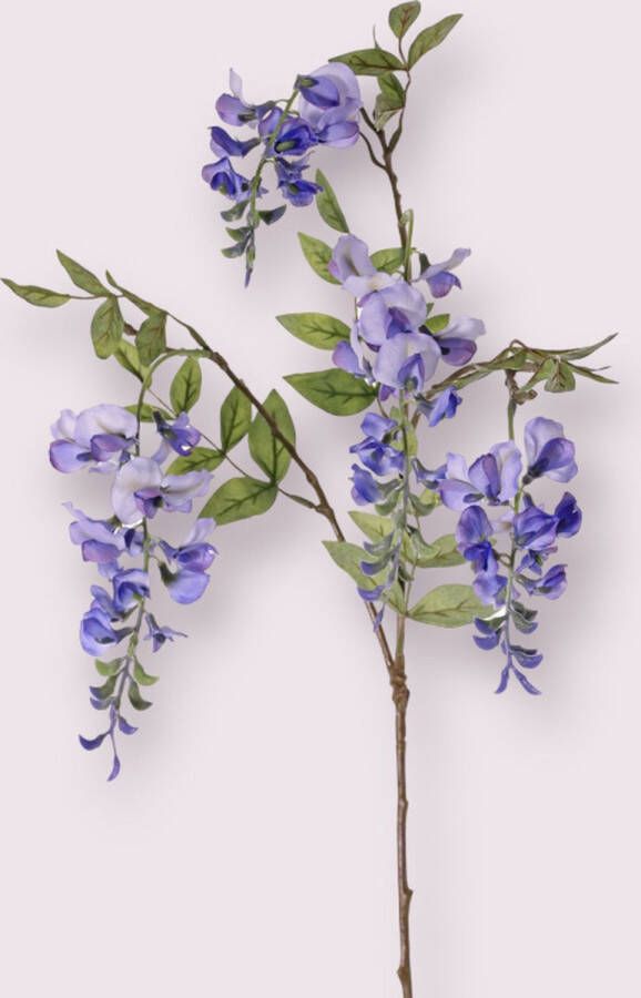 Myflowers b.v. Zijden kunstbloem Wisteria Blauw Lengte 80 centimeter