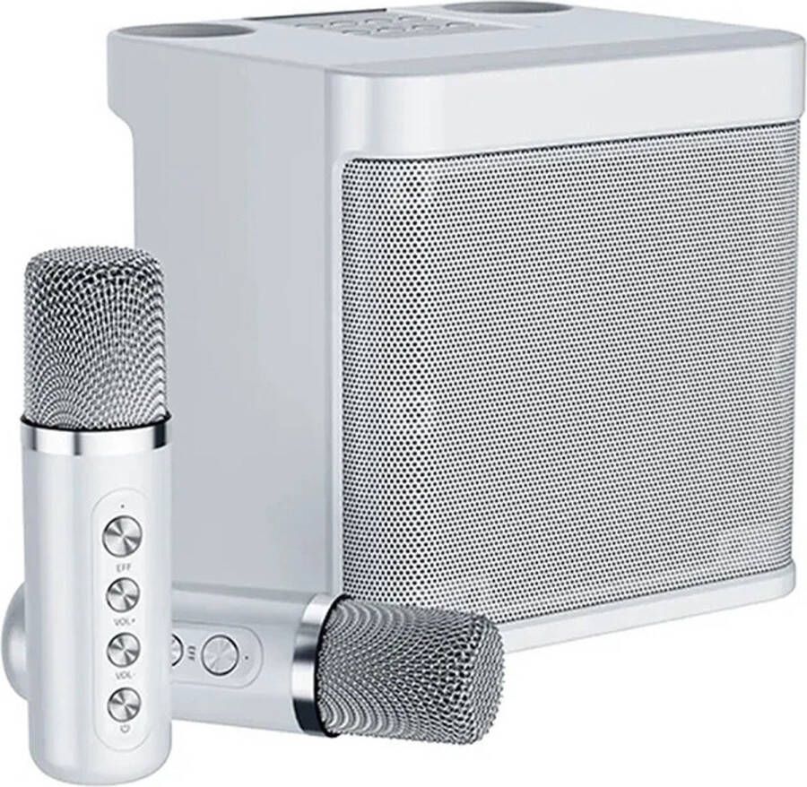Naiz Karaokeset Box 2 microfoons Draadloos Zilver