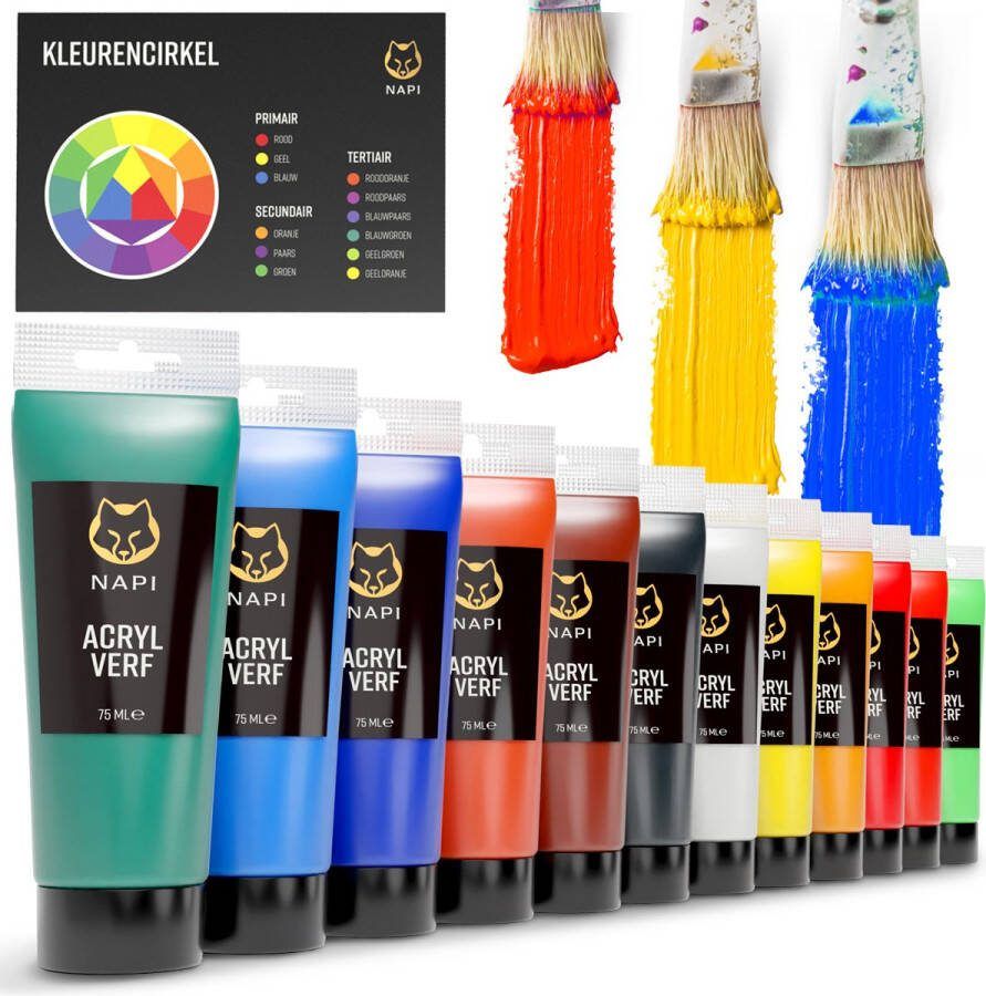 NAPI Acrylverf 12x75 ML Grote Flessen Inclusief Kleurencirkel Voordeel Set Hobbyverf Schilderen Acryl Verf 12 Kleuren