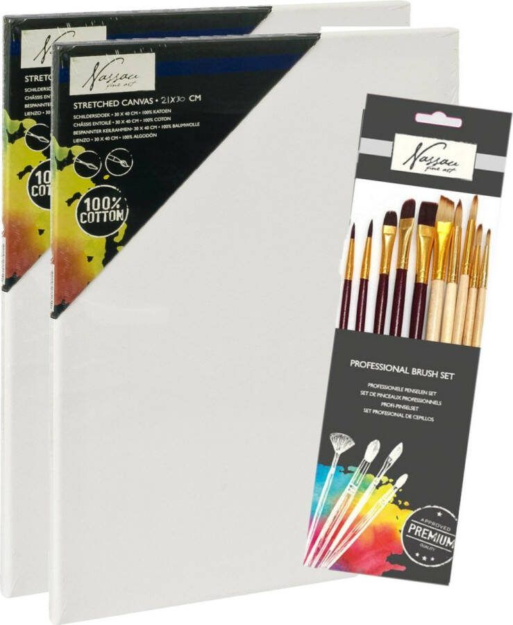 Nassau Hobby 2x stuks canvas schildersdoeken 21 x 30 cm met 10x stuks goede schilder penselen plat rond Schilderen thuis