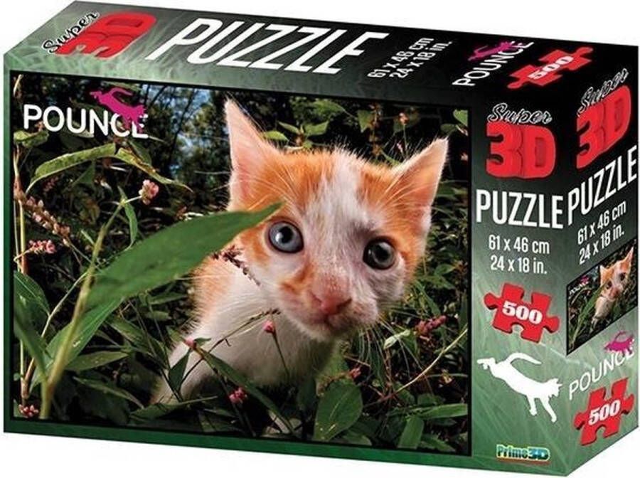National Geographic 3D puzzel Pounce cat Pokemon 500 stukjes
