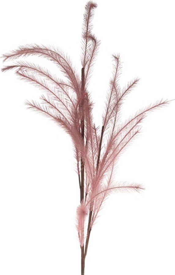 Natural Collections Naturel Collections Pluim donker roze108cm