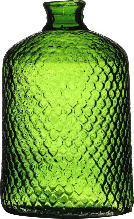 Natural Living Bloemenvaas Scubs Bottle groen geschubt transparant glas D18 x H31 cm Fles vazen