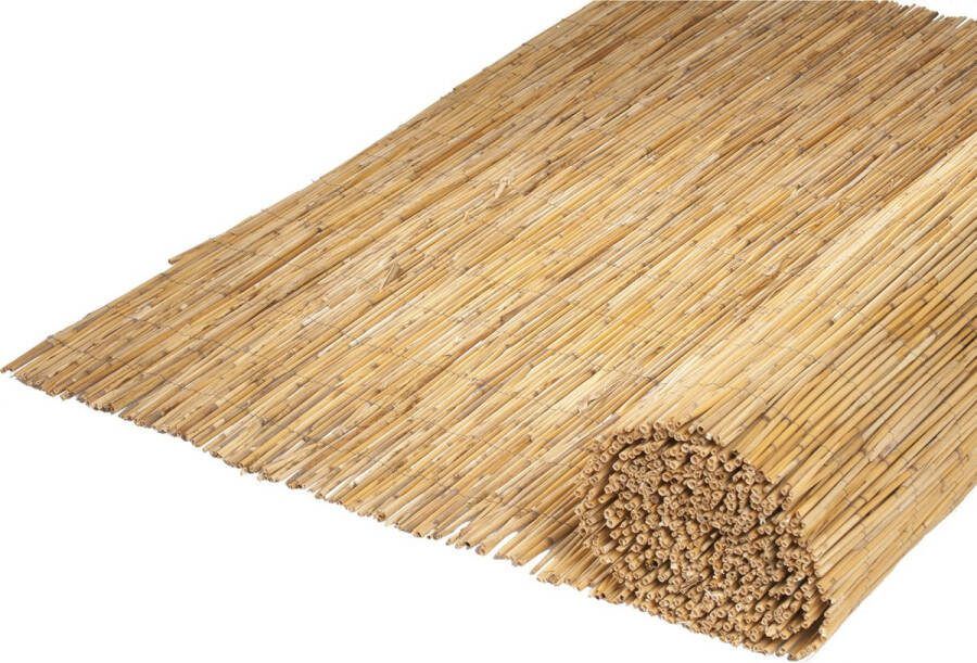 Nature 2x rollen rietscherm rietmat op rol 500 x 100 cm schuttingen tuinscherm