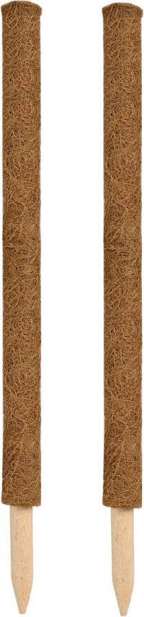 Nature 2x stuks plantenstok kokos tonkinstokken bruin 60 cm diameter 38 mm plantensteunen plantstokken