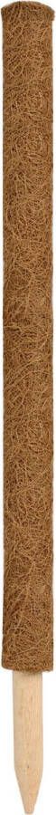 Nature 3x stuks plantenstok kokos tonkinstokken bruin 60 cm diameter 38 mm plantensteunen plantstokken