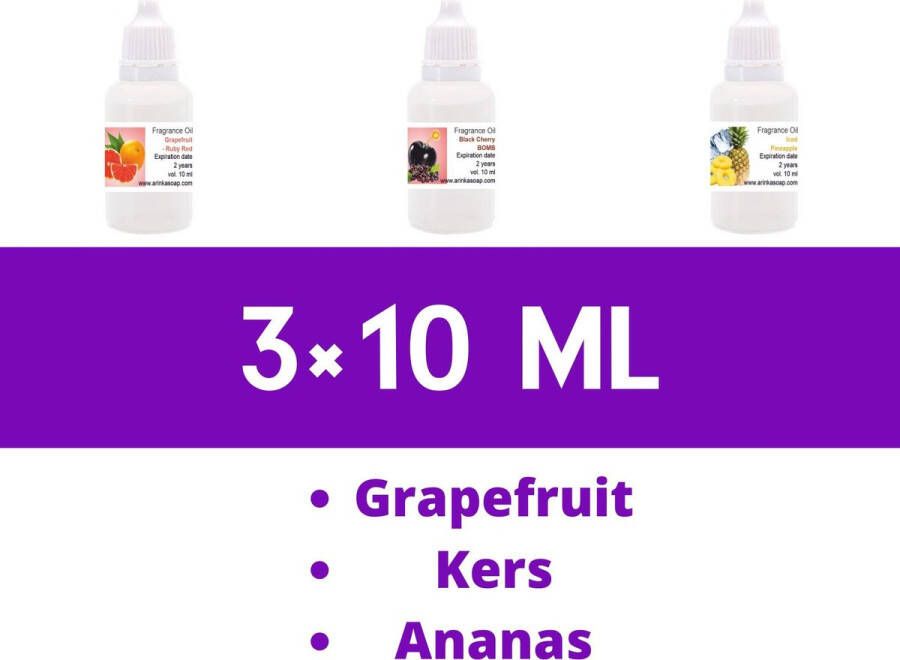 Nature Garden Geurolie set voor cosmetica Fruit Voor Gietzeep CP zeep Producten voor bad en lichaam Kaarsen Parfumerie producten – Huisparfum 3 × 10 ml