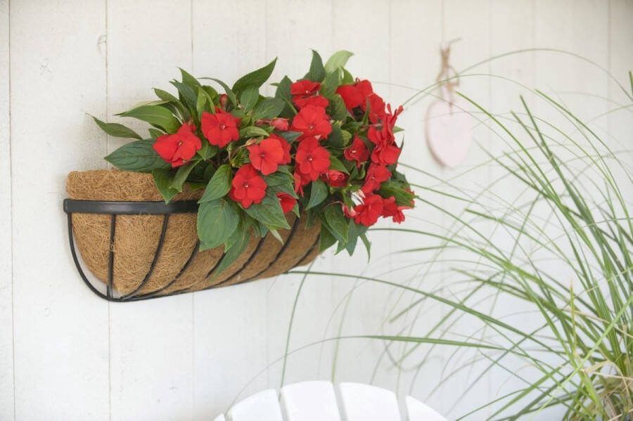 Nature Zwart Smeedijzeren Hanging Basket 16 5x61x16cm