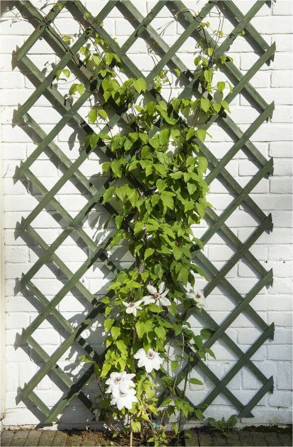 Nature Houten Klimrek 50x150 cm Klim-En Geleide Artikel Groen - Foto 4