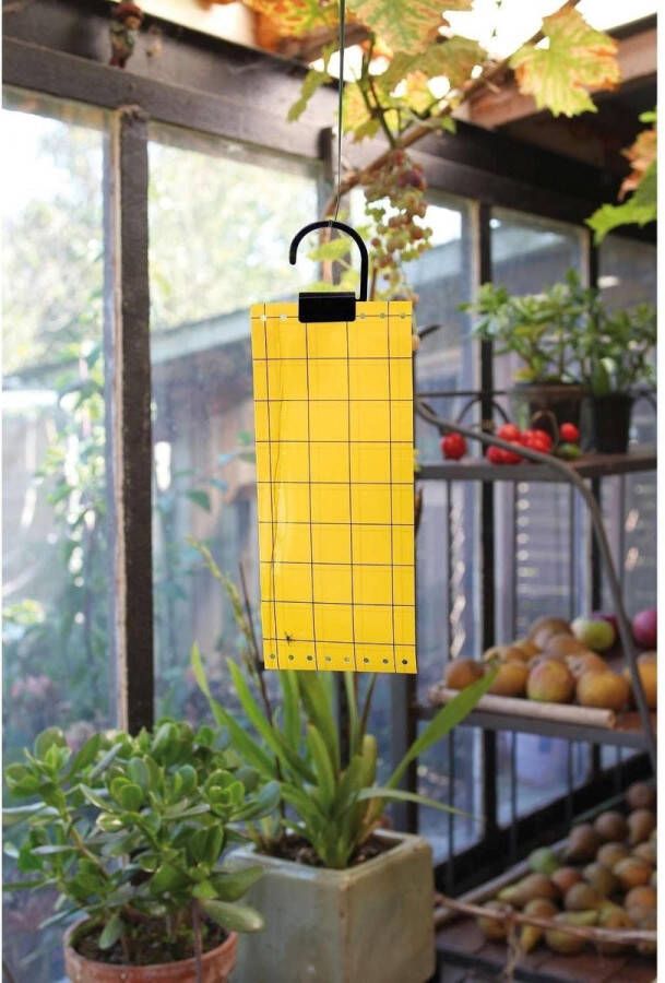 Nature Insectenkleefvellen 5 stuks set