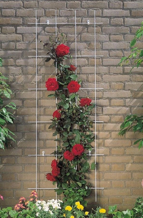 Nature Metalen klimrek rechthoekig groen 150 x 45 cm (3 verticalen)