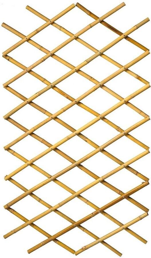 Nature Latwerk Voor Tuin 100x200 Cm Bamboe 6040722