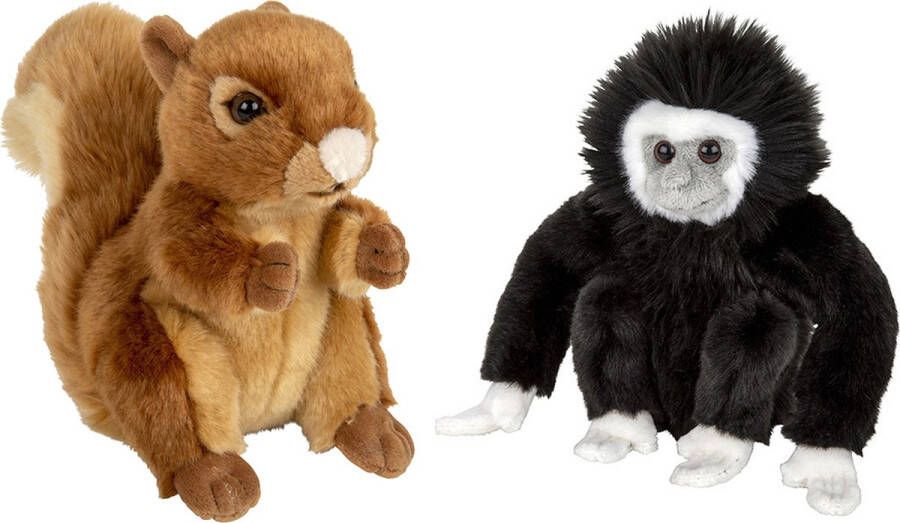 Nature Planet Bosdieren zachte pluche knuffels 2x stuks Eekhoorn en Gibbon Aapje van 18 cm Knuffeldier