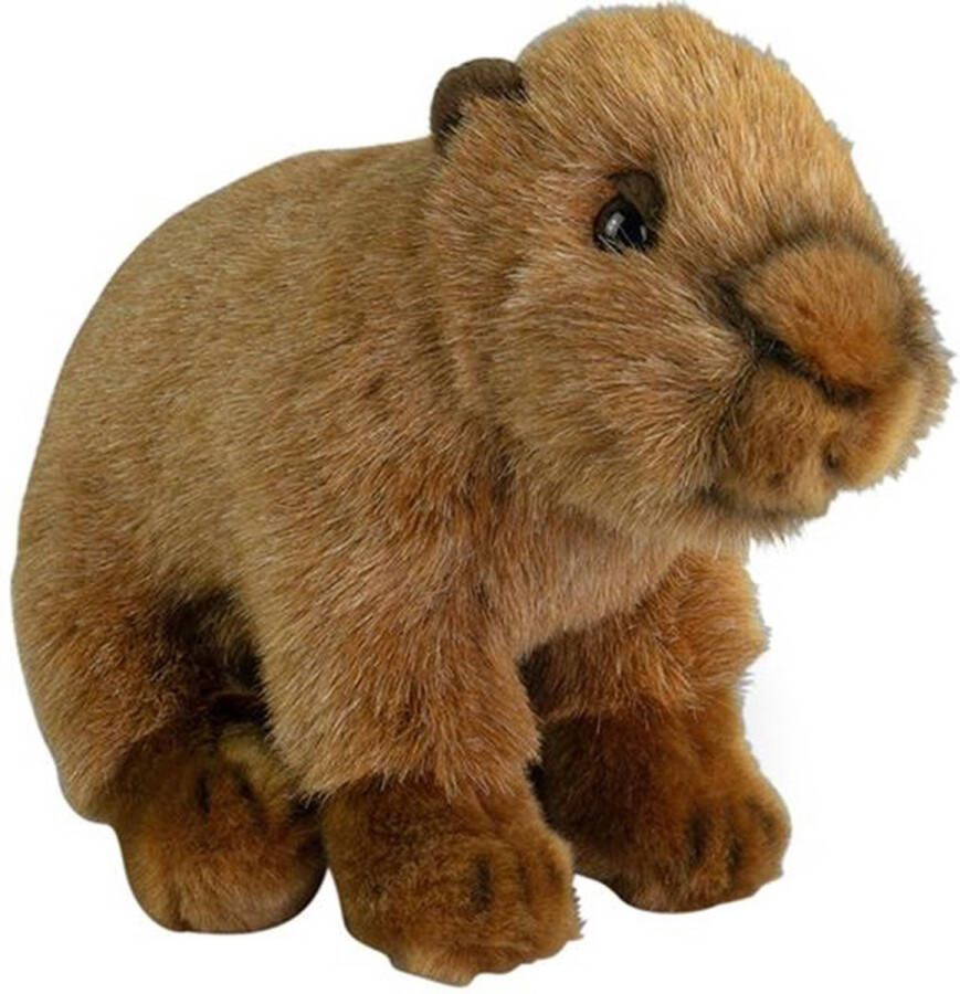 Nature Planet Knuffeldier Capybara pluche stof premium knuffels bruin 20 cm Knuffeldier