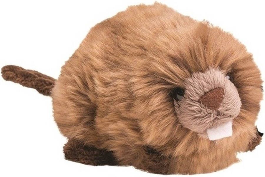 Nature Planet Pluche bruine bever knuffel 19 cm dieren bevers speelgoed Knuffel bosdieren