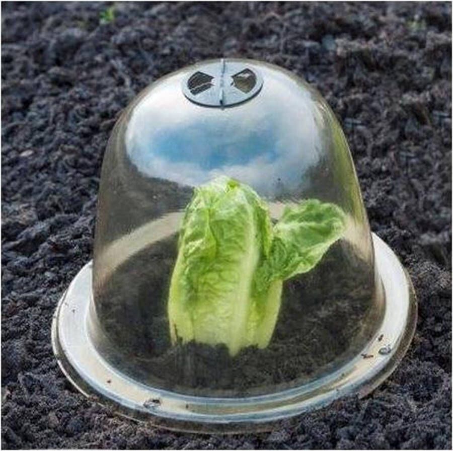 Nature Plantenstolpen 25 cm + grondpennen 3 stuks