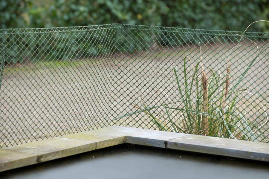 Nature Schermgaas vierkant 20x20mm 1x25 meter groen