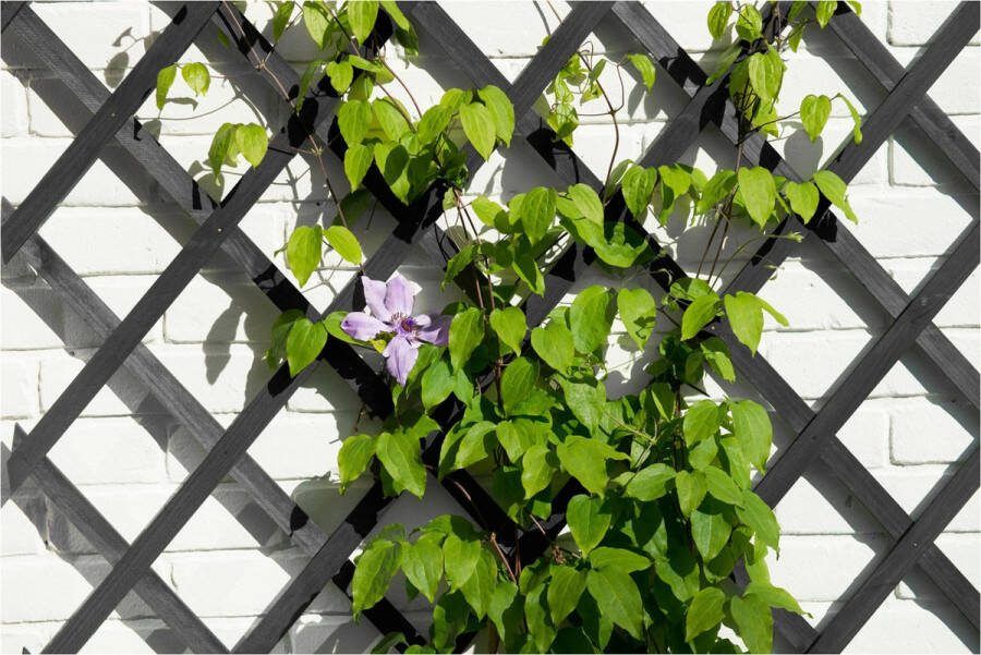 Nature Tuinlatwerk 50x150cm hout antracietkleurig
