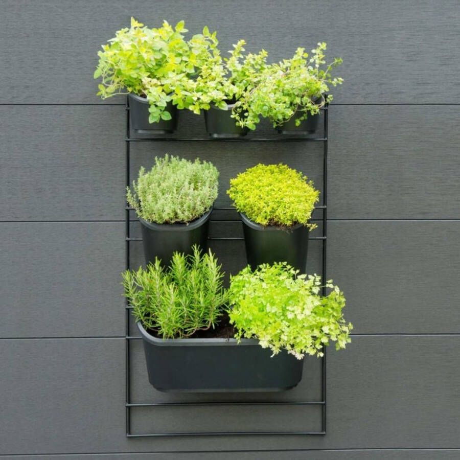 Nature Verticaal Tuinieren met metalen frame H84 x 48cm complete set