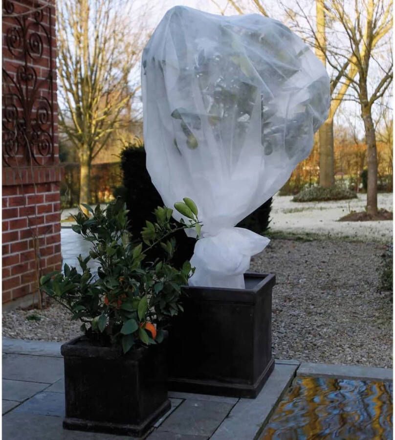 Nature plantenhoes XL 5 x 2 meter wit anti-vorst planten beschermhoes 500 x 200 cm - Foto 3