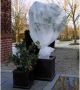Nature Winterafdekvlies voor planten 2 x 10m 30 g m² winterbescherming - Thumbnail 1