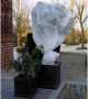 Nature plantenhoes XL 5 x 2 meter wit anti-vorst planten beschermhoes 500 x 200 cm - Thumbnail 1