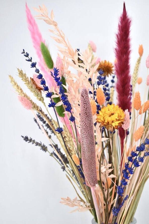 Natuurlijk Bloemen Droogbloemen boeket 40 cm Mixed Colors
