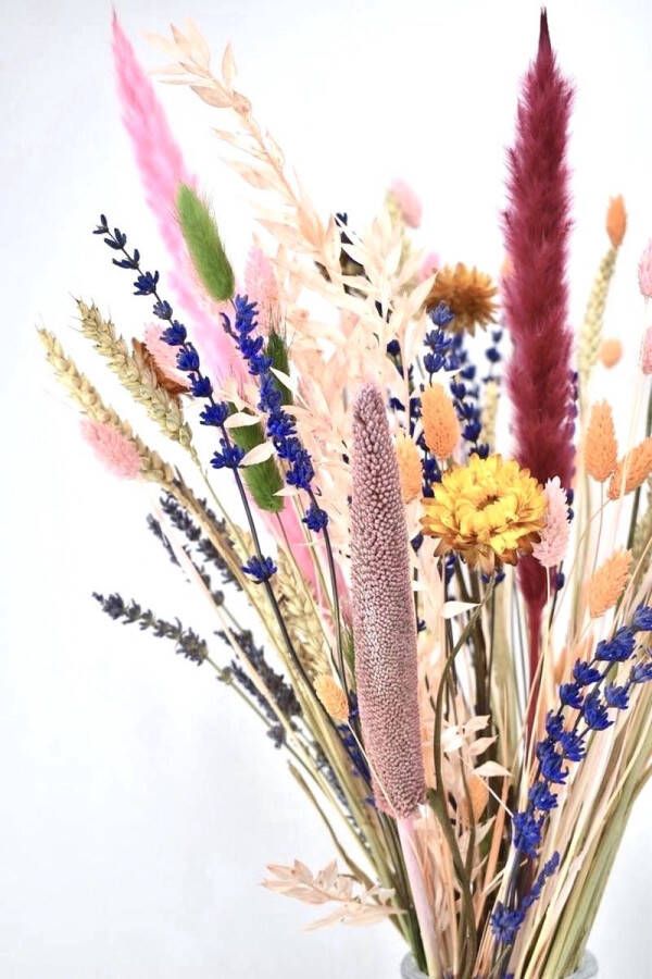 Natuurlijk Bloemen Droogbloemen boeket 50 cm Mixed Colors