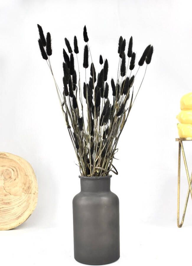 Natuurlijk Bloemen Droogbloemen boeket Zwart 60 cm