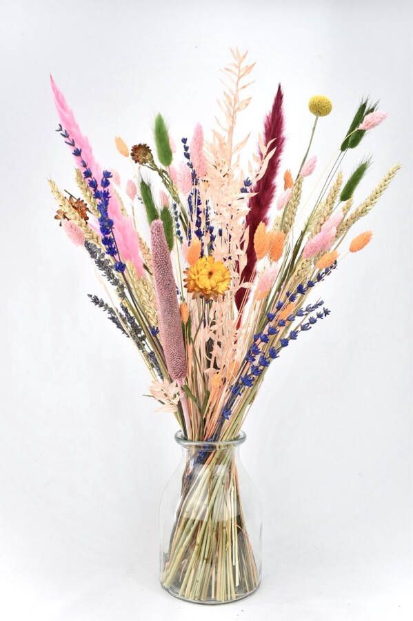 Natuurlijk Bloemen Droogbloemen met vaas Mixed color 50 cm Droogbloemen in vaas