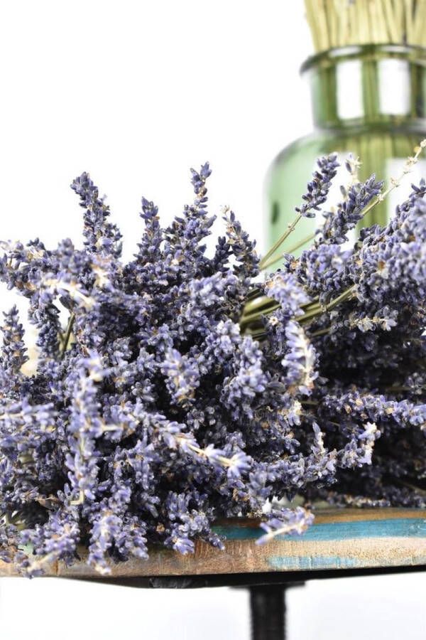 Natuurlijk Bloemen Lavendel 2020 2 bossen | Gedroogd | | Geurend | Droogbloemen