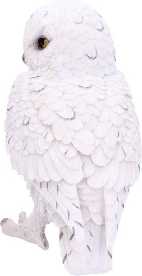 Nemesis Now Snowy Watch Grote Witte Uil Ornament Figuur 20cm
