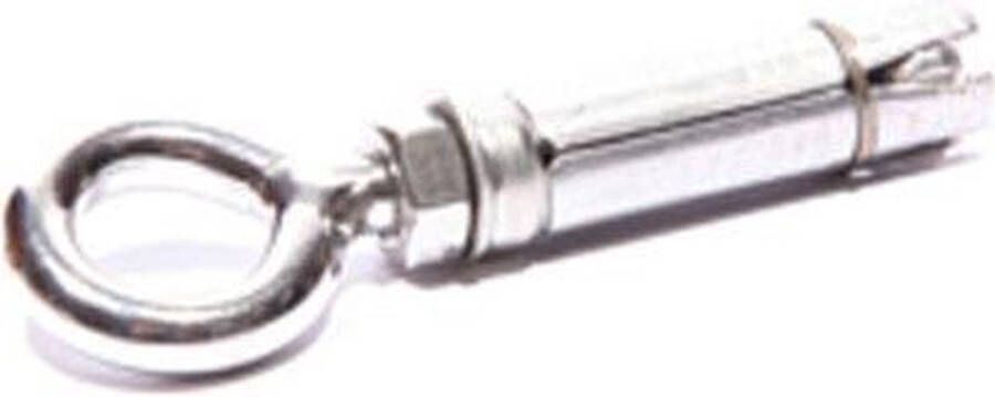 Nesling M8 Keilhuls Voor Steen En Beton Met Schroefoog Rvs