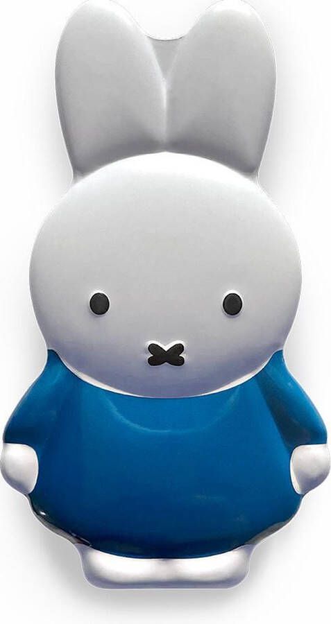 Nijntje 3D opberg en bewaar blik pakket Dick Bruna blauw