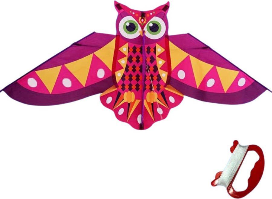 Nivard Vlieger Voor Strand Kite Vliegers Kindervlieger Uil Paars