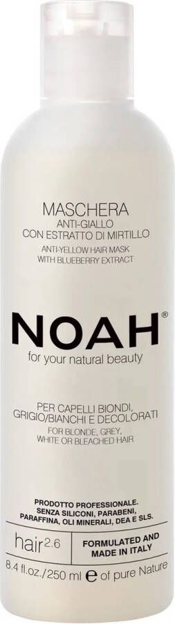 Noah Anti-Geel Haarmasker Met Bosbessenextract voor blond en grijs haar 250ml