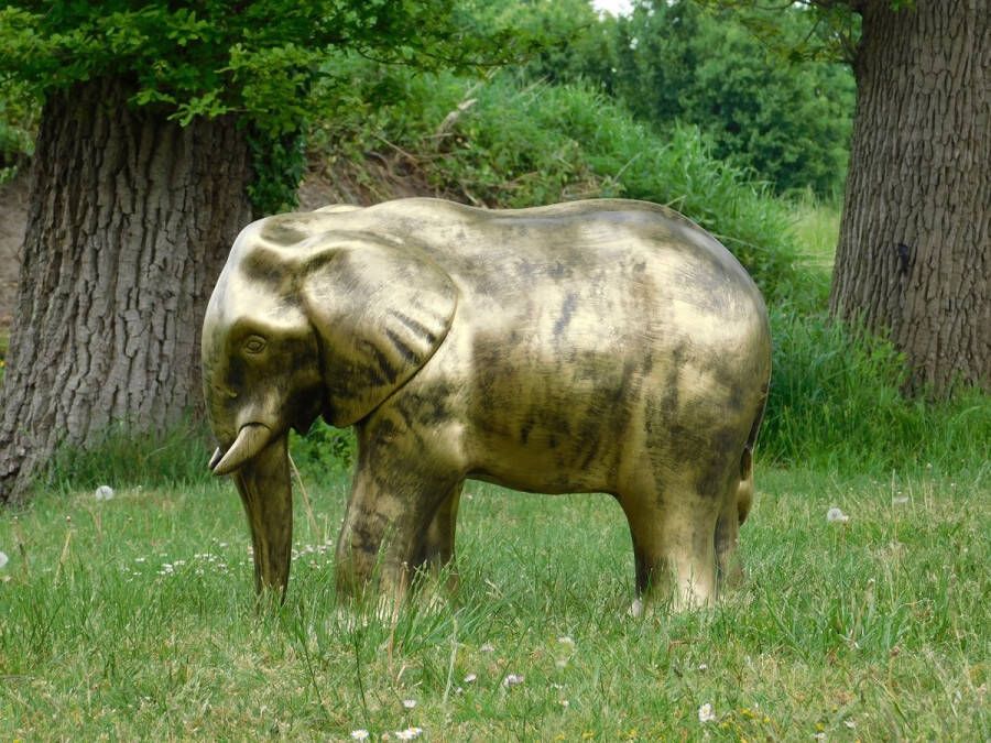 Non Branded Beeld olifant tuinbeeld olifantenbeeld goud kleurig