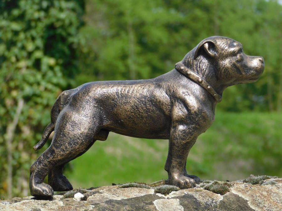 Non Branded Beeld pitbull tuinbeeld gietijzer sculptuur hond huis en tuin deco