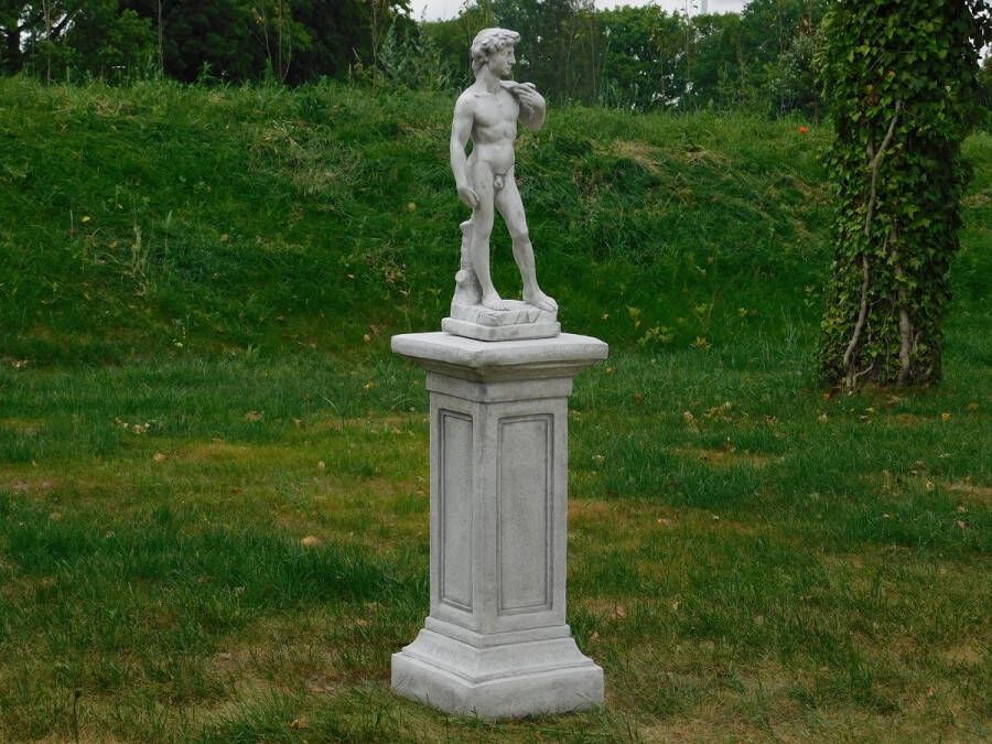 Non Branded David bijbelse figuur op sokkel tuinbeeld steen wit grijs