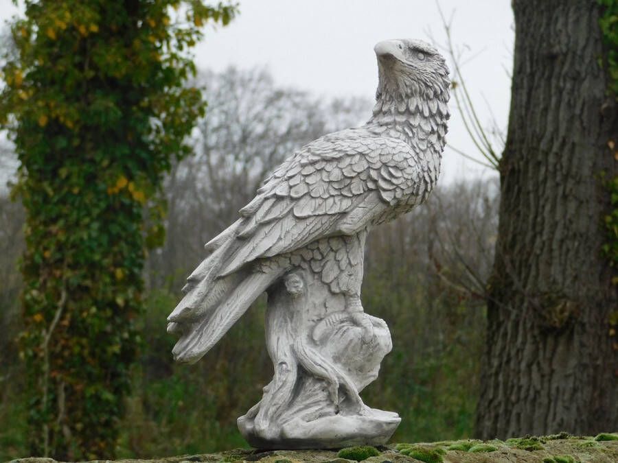 Non-Branded Tuinbeeld adelaar steen roofvogel tuinsculptuur