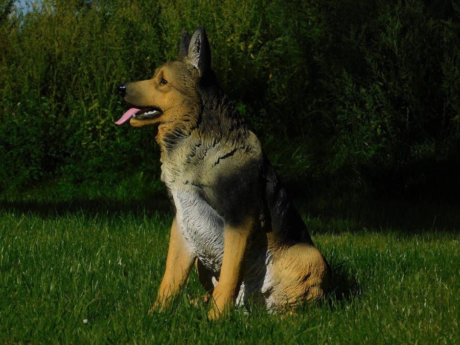 Non Branded Tuinbeeld Duitse Herder beeld hond in detail polystone