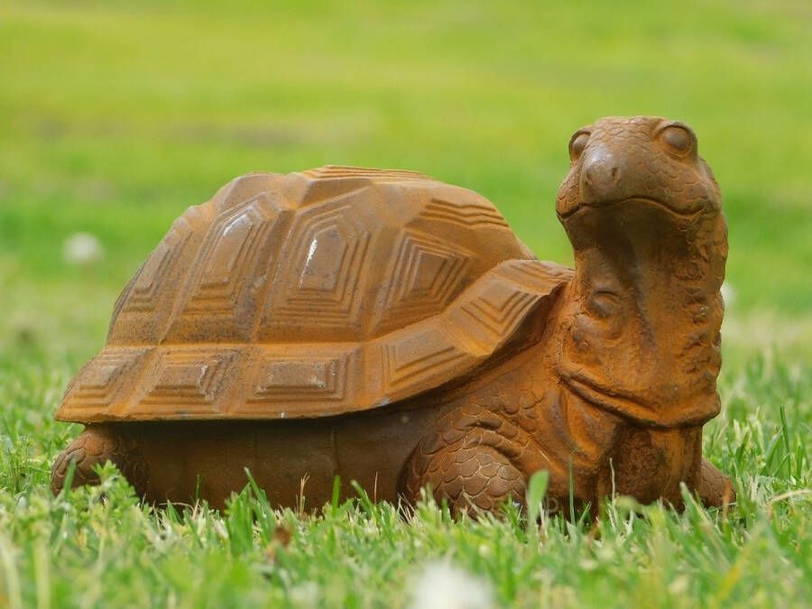 Non Branded Tuinbeeld schildpad gietijzer groot beeld in detail