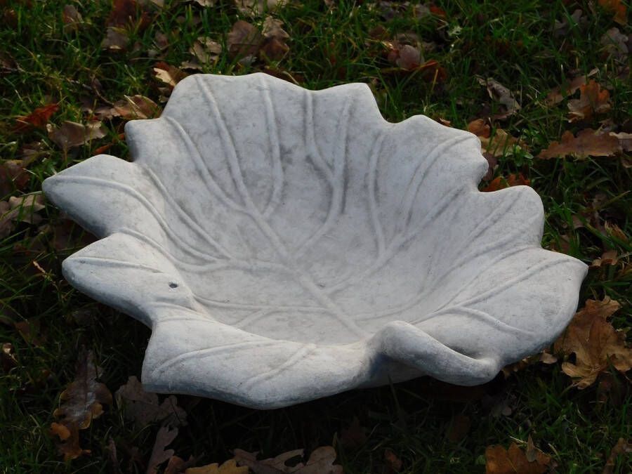 Non Vogelbad in bladvorm steen 40 cm tuindecoratie