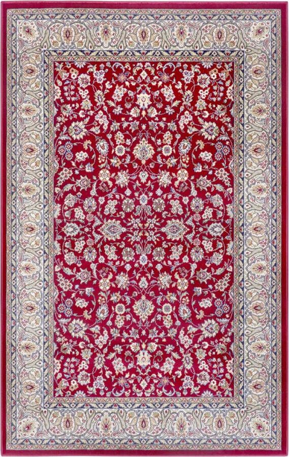 Nouristan Perzisch tapijt Aljars rood 120x170 cm