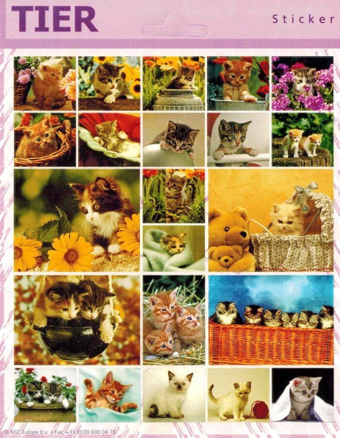 NSC Europe Dieren Stickers Katten Poesjes Set van 3 vellen