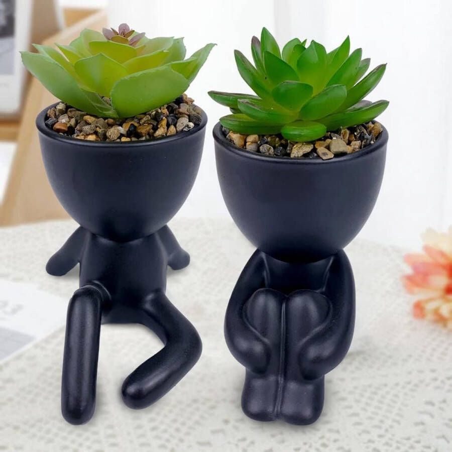 ODIWEN SHOP YOLO-kunstplant-Keramiek Potje -kunststof nepplanten-Decoratieve Kunstmatige vetplanten in potten-2 Stuks-zwart